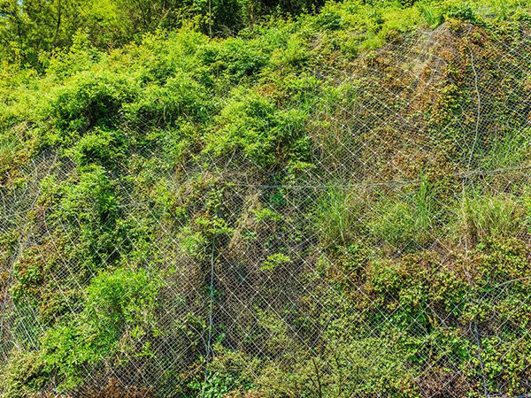 山体护坡网图片4